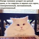 ���� �������, ���������, 39 ��� - ��������� 9 ���� 2019 � ������ ���� ����������