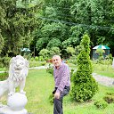 ���� Mohammad Reza, �������, 56 ��� - ��������� 1 ������ 2019 � ������ ���� ����������
