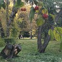  , , 50  -  4  2019   3.10.2019 