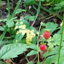 ���� ����, ����������� - ��������� 22 ���� 2019 � ������ ����� ������!�