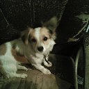 ���� Dfkthf, ����, 61 ��� - ��������� 6 �������� 2019 � ������ ���� ����������