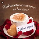 ���� ���������, �������������, 43 ���� - ��������� 11 �������� 2019 � ������ ���� ����������