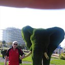 ���� Andreano, ������ - ��������� 2 ������� 2019 � ������ ������ ��������