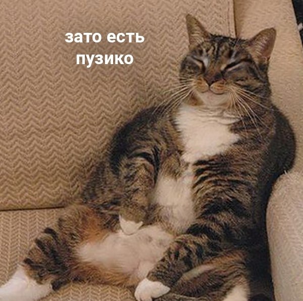   ,   - 4
