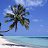 ���� �����, ������ �������� - ��������� 25 ������� 2019