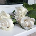 ���� ������, ���������, 51 ��� - ��������� 6 ������� 2019 � ������ ���� ����������