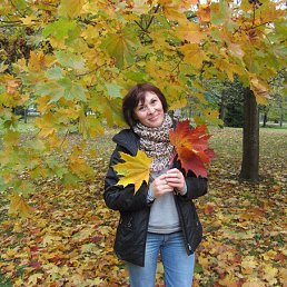 ���������, ��������, 56 ���