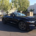 ���� �����, ��������, 48 ��� - ��������� 26 ������ 2019 � ������ ���� ����������