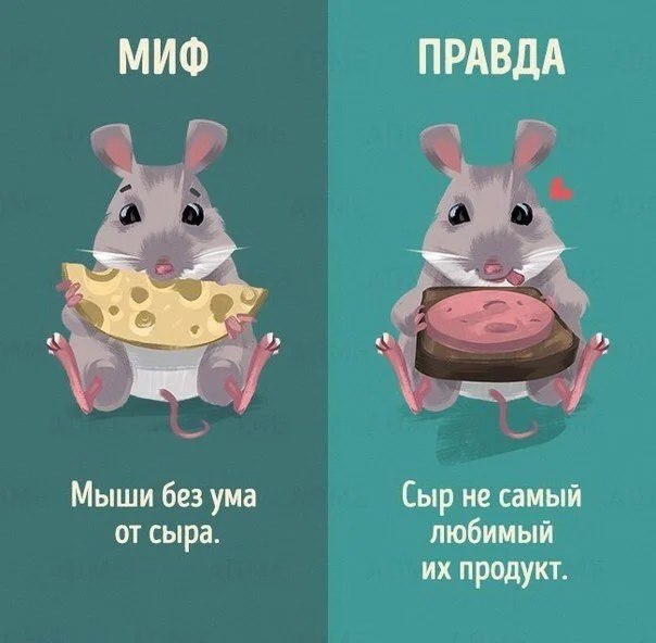  10-   .       ,          ... - 6