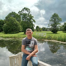 �������, ��������, 51 ���