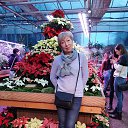 ���� �������, ������ - ��������� 10 ������� 2019 � ������ ���� ����������