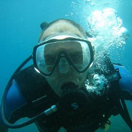 �����, �������, 48 ���