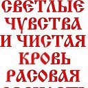 ���� Evi, ������ - ��������� 22 ������� 2019 � ������ ������ ��������