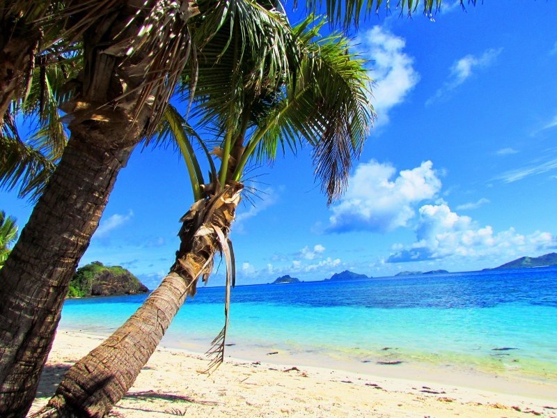 ��� �������� �� ������� �����