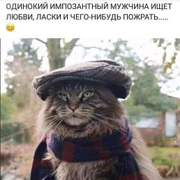 ���� �����, ������, 54 ���� - ��������� 10 ������� 2019