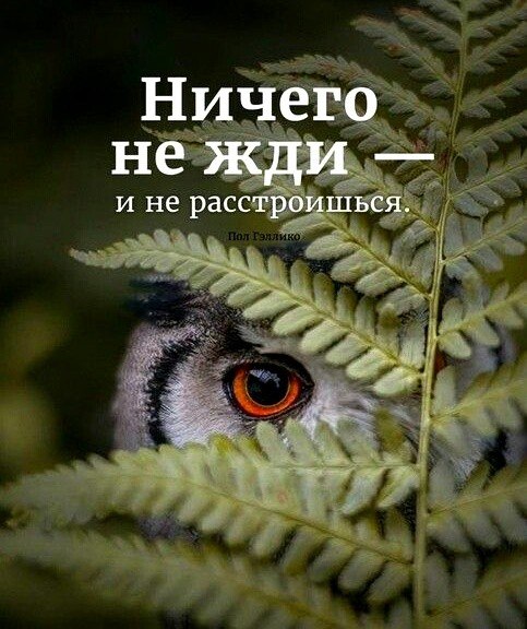 ***Victoria Viktorovna*** - 29  2019  02:17