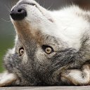 ���� ���������, ������ - ��������� 7 ���� 2019 � ������ ���� ����������