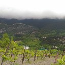 ,   &quot;&quot;,11.05.19. 11.00.   - 2019