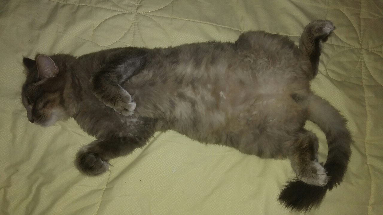 #_.          . , ... - 2