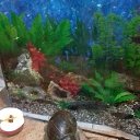 ���� ����, ��������, 67 ��� - ��������� 21 ���� 2019 � ������ �5 ������� �������