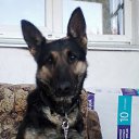 ���� ����, ���������, 53 ���� - ��������� 14 ������� 2019