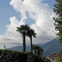 ���� ������, ���������� - ��������� 20 ������� 2019 � ������ ���� ����������