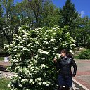 ���� ����, ���������, 51 ��� - ��������� 1 ���� 2019 � ������ ���� ����������