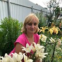 ���� ����, ������, 46 ��� - ��������� 5 ���� 2019 � ������ ���� ����������