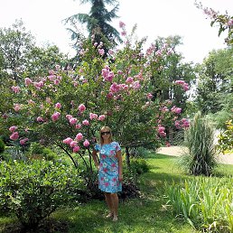 ������, ����