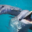  ˜”*°Empty Eyes°*”˜,  -  7  2019   Tropikania