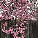 ���� �������, ������������ - ��������� 30 ����� 2019 � ������ ������ ��������