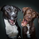 ���� ��������, ������, 69 ��� - ��������� 16 ������ 2019 � ������ ������ ��������