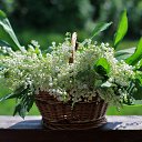  Mikhail,  -  18  2019    