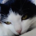 ���� �������, ������, 54 ���� - ��������� 5 ���� 2019 � ������ ���� ����������