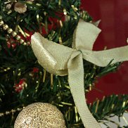 �������, 42 ����, ������