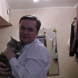 , 48, 