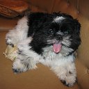 ���� ���������, ������, 45 ��� - ��������� 17 ������� 2019