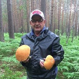 ���������, �������, 66 ���