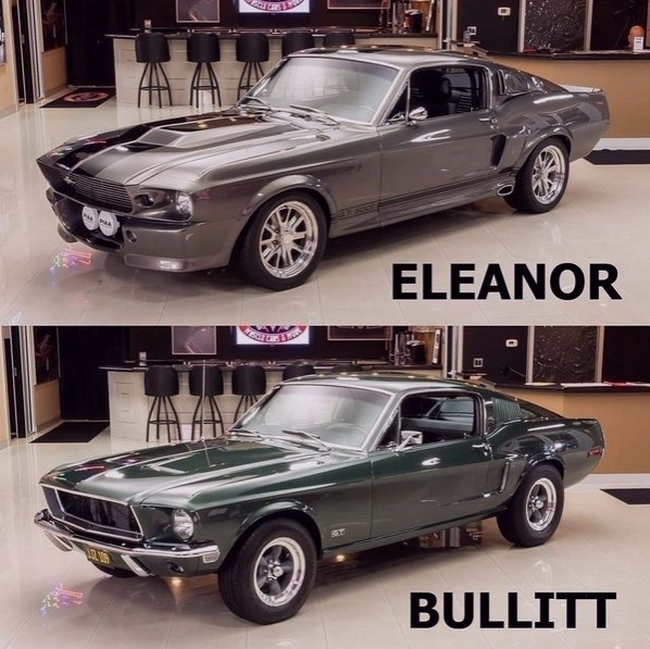 Elanor-Bullit