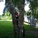 ���� *��������� * !!!, ������ - ��������� 1 �������� 2019