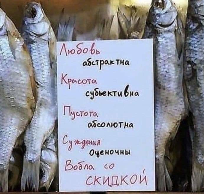 " ") - 24  2019  10:57