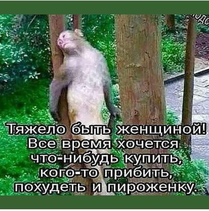  - 10  2019  11:44