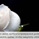 ���� ���������, ������������, 68 ��� - ��������� 30 ������� 2019 � ������ ������ ��������