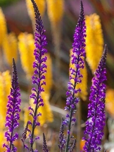  ))).-   ,   .    ... - 6