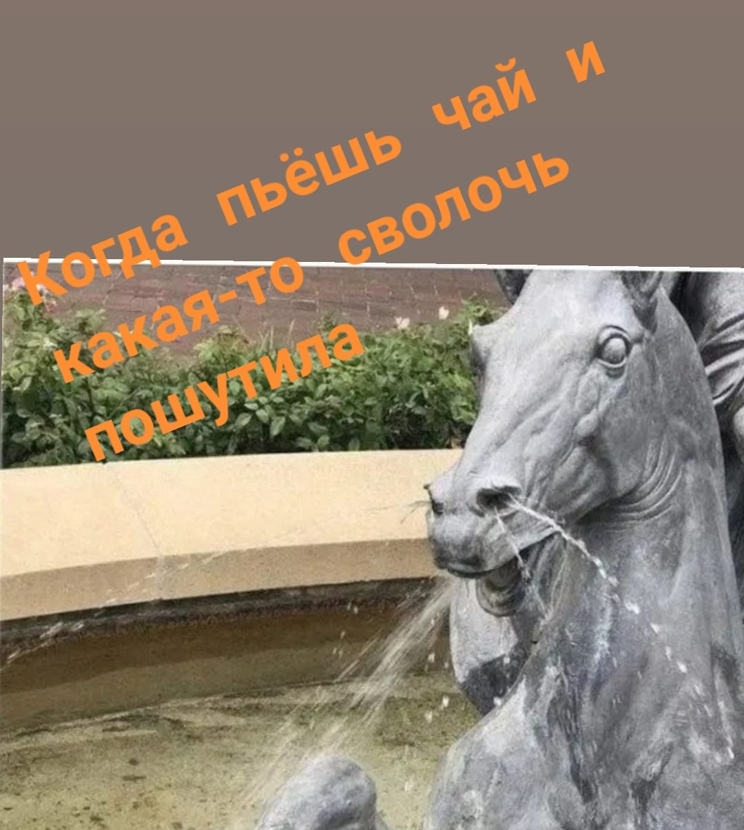 ***Victoria Viktorovna*** - 25  2019  19:31