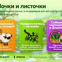 ���� ������, ���� - ��������� 2 ������ 2019 � ������ ������ ��������