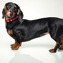 ���� �����, ������������, 66 ��� - ��������� 29 ���� 2019 � ������ ������ ��������