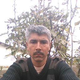 ������, ������, 48 ���