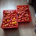  , , 67  -  2  2019     - .