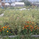 �������:����� + ����� �� ������� ���� ����������